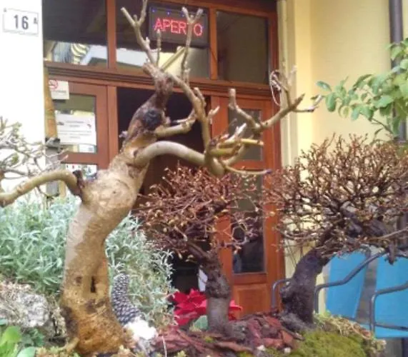 Ristorante Pizzeria Da Gigino بيت ريفي Corniolo (Emilia-Romagna)