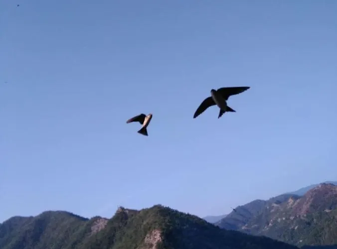 Ristorante Pizzeria Da Gigino Corniolo (Emilia-Romagna)