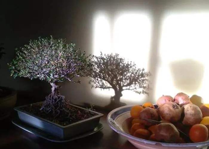 Ristorante Pizzeria Da Gigino Corniolo (Emilia-Romagna)