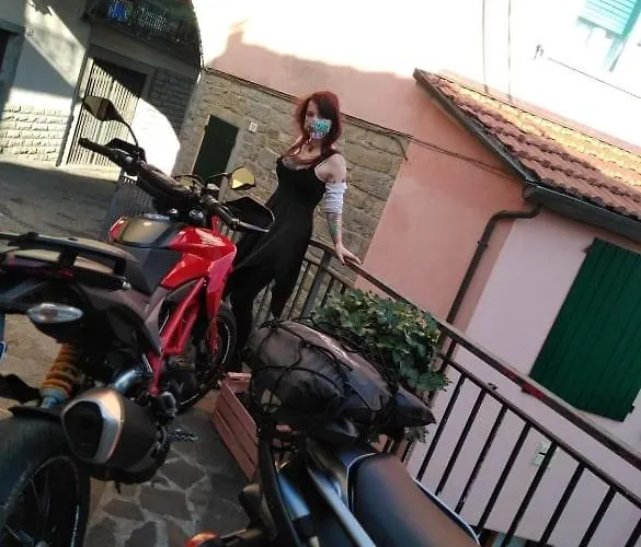 Han/Misafirhane Ristorante Pizzeria Da Gigino